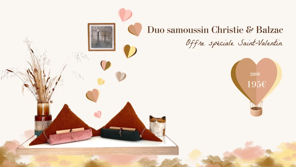 Offre promotion saint valentin porte-livre samoussin aricomagic