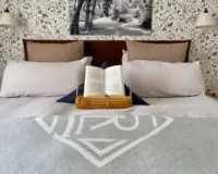 Offrir un support de livre à Noël - découvrez le samoussin Wilde