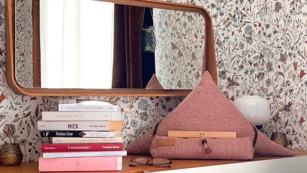 Boulimiques de livres : Lire sans se fatiguer les grands lecteurs ont leurs secrets. Lire plus, mieux et sans douleur avec le samoussin Nin