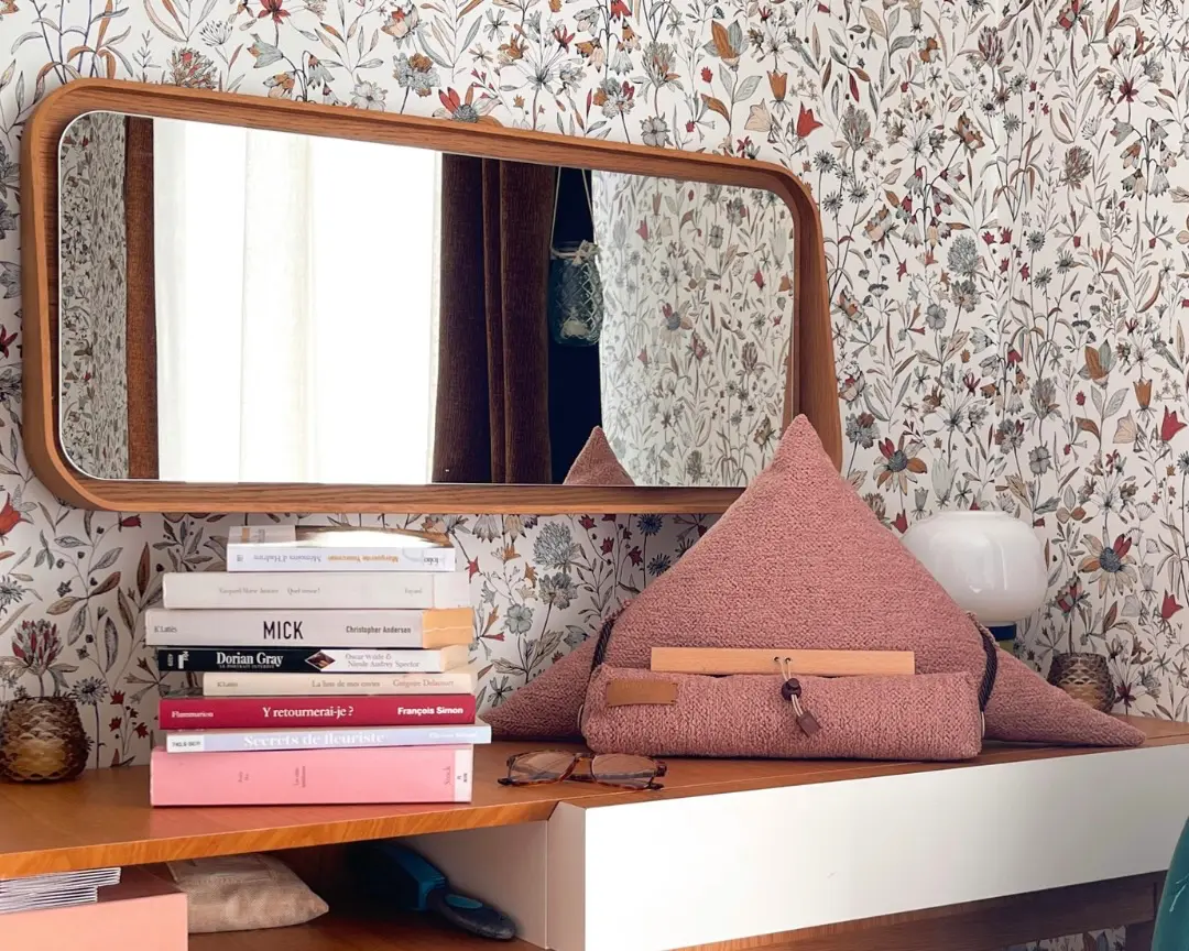 Boulimiques de livres : Lire sans se fatiguer les grands lecteurs ont leurs secrets. Lire plus, mieux et sans douleur avec le samoussin Nin