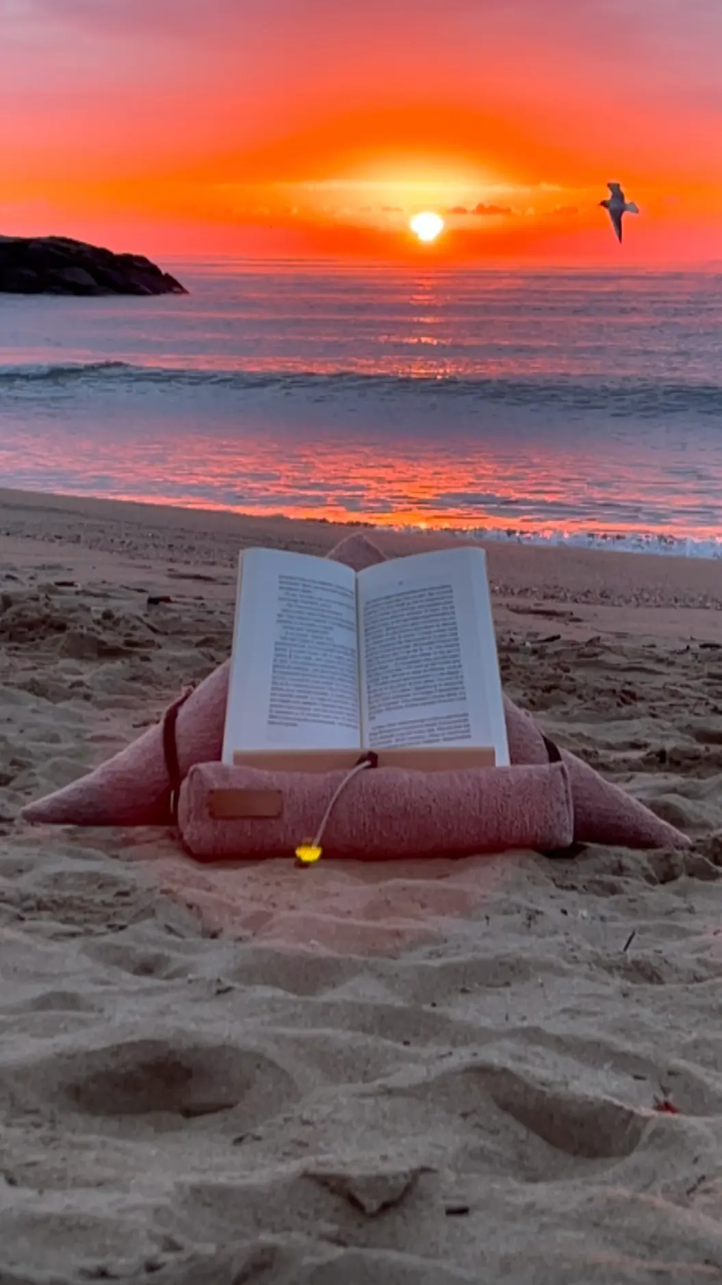 Porte-livre made in France Samoussin design et ergonomie aricomagic