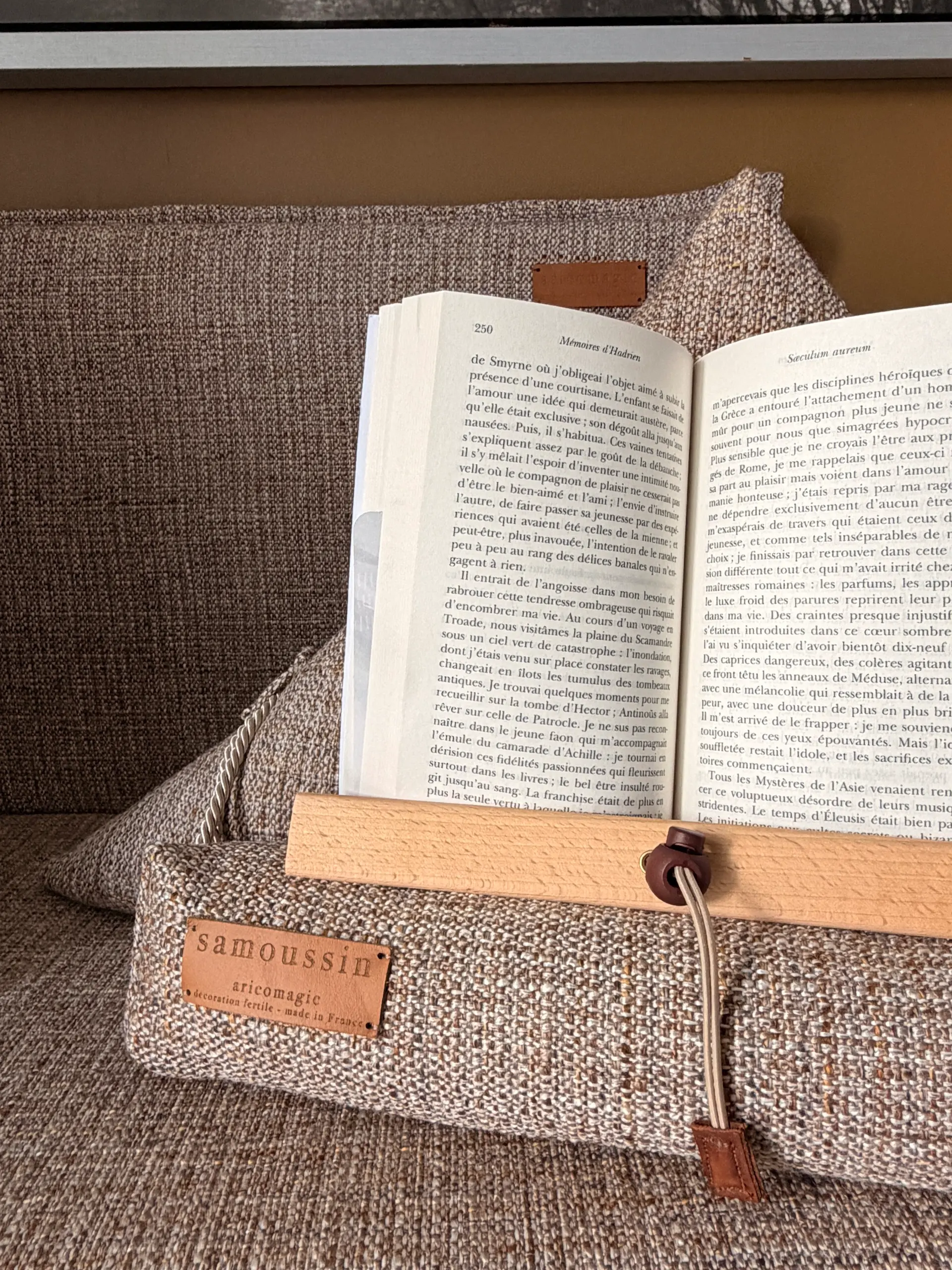 Coussin pour livre samoussin lire au lit, dans le métro, partout